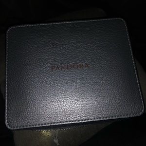 pandora jewelry care kit box